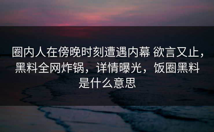 圈内人在傍晚时刻遭遇内幕 欲言又止，黑料全网炸锅，详情曝光，饭圈黑料是什么意思