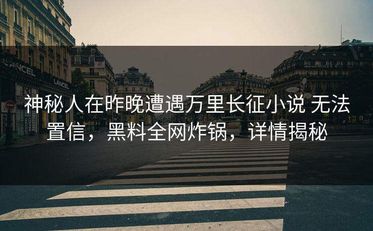 神秘人在昨晚遭遇万里长征小说 无法置信，黑料全网炸锅，详情揭秘