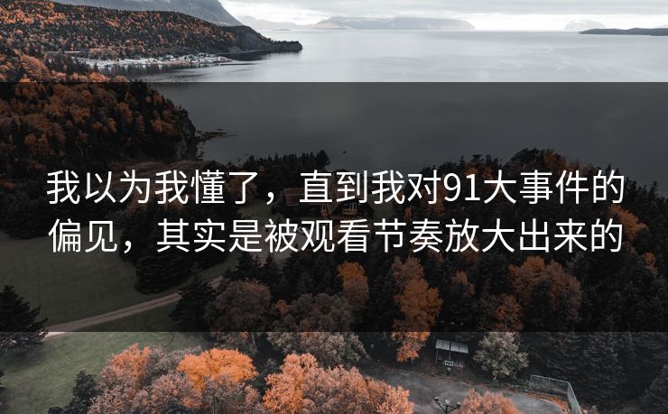 我以为我懂了,直到我对91大事件的偏见,其实是被观看节奏放大出来的 我以为我懂了,直到我对91大事件的偏见,其实是被观看节奏放大出来的